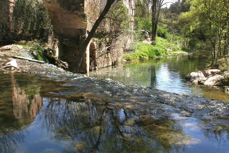 La Mosson qui coule en petite chute devant les ruines d'un ancien moulin, arbres au printemps